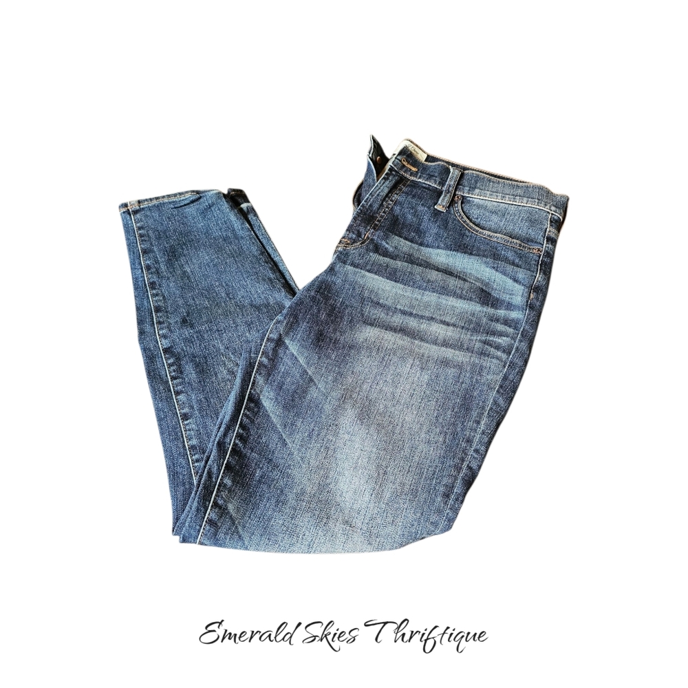 J Crew Jeans Women 32 Blue High Rise Toothpick Skinny Leg Casual Denim